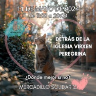 Mercadillo solidario Difusin Felina Pontevedra