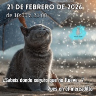Mercadillo solidario Difusi�n Felina Pontevedra