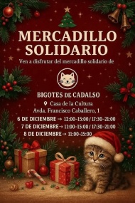 Mercadillo solidario en Cadalso de los Vidrios