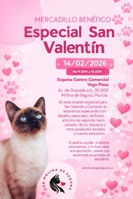 Mercadillo Solidario en Molina de Segura