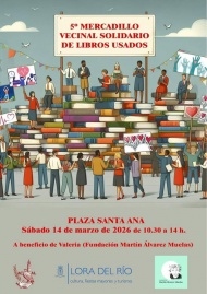 V MERCADILLO VECINAL SOLIDARIO DE LIBROS