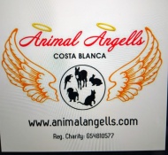 Animal Angells - Tabln de Anuncios