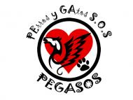 APA PEGASOS - Refugios, protectoras y Eventos de protectoras de animales