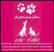 Asociacin Ocho Vidas - Tabln de Anuncios