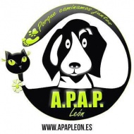 Asociacin Protectora Animales y Plantas de Len - Refugios, protectoras y Eventos de protectoras de animales