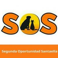 Asociacin Protectora de Animales Segunda Oportunidad Santaella - Tabln de Anuncios