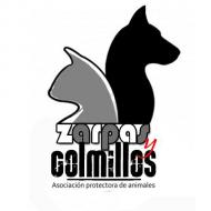 Asociacin protectora de animales Zarpas y Colmillos - Tabln de Anuncios