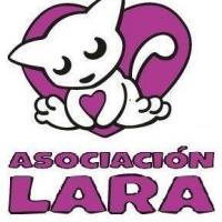 Asociacin protectora LARA gatos - Santuario de Madrid - Refugios, protectoras y Eventos de protectoras de animales