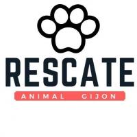 Asociacin Rescate Animal Gijon - Tabln de Anuncios