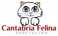 Cantabria Felina - Tabln de Anuncios