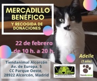 Mercadillo benfico y recogida donaciones - Eventos celebrados a favor de los animales