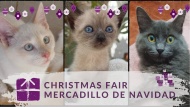 Mercadillo de Navidad - Eventos celebrados a favor de los animales