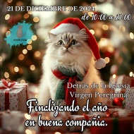 Mercadillo Solidario de navidad - Refugios, protectoras y Eventos de protectoras de animales