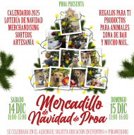 Mercadillo solidario de navidad de Proa - Eventos celebrados a favor de los animales