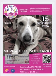 Mercadillo Solidario Navideo - Eventos celebrados a favor de los animales