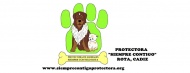 Recaudación de fondos para pagar gasto de facturas Veterinarias - Refugios, protectoras y eventos a favor de los animales Recaudación de fondos para pagar gasto de facturas Veterinarias - Refugios, protectoras y eventos a favor de los animales