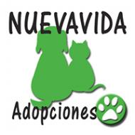 Nuevavida Adopciones - Tabln de Anuncios