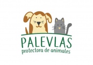 PALEVLAS PROTECTORA DE ANIMALES - Refugios, protectoras y Eventos de protectoras de animales
