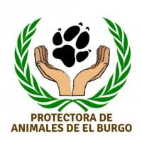 Protectora de animales El Burgo - Tabln de Anuncios