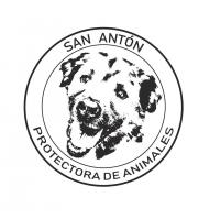 Protectora de animales San Antn - Tabln de Anuncios