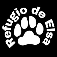 Refugio de Elsa - Tabln de Anuncios