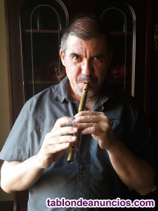 Clases de flauta de pico y tin whistle