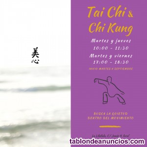 Clases regulares de tai chi en málaga Clases regulares de tai chi en málaga