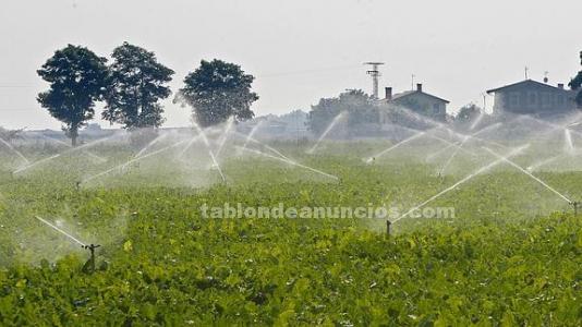 Ampliar fotos Se compran Fincas Rústicas de regadío o secano en Toledo Se compran Fincas Rústicas de regadío o secano en Toledo