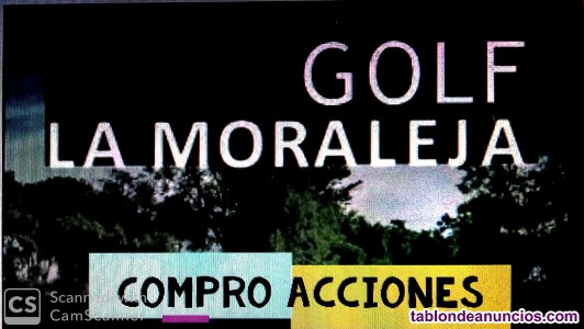 BUSCO ACCIONES PARA LA COMPRA ACCIONES CLUB DE GOLF LA MORALEJA, BASOZABAl, 