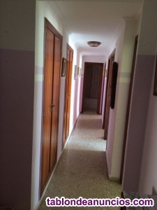 Ampliar fotos Alquiler de apartamento 2ª línea de playa en Gandía playa, con excelente situaci Alquiler de apartamento 2ª línea de playa en Gandía playa, con excelente situaci