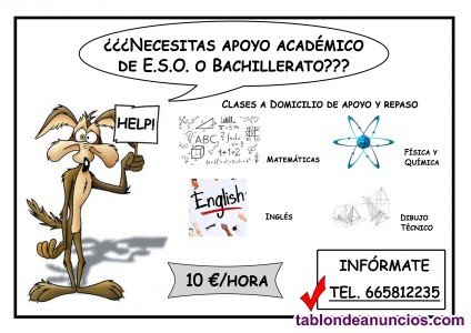  CLASES PARTICULARES DE ESO Y BACHILLERATO