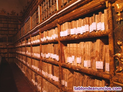Investigador (archivos históricos)