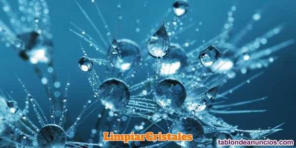 Limpieza de techos de cristal