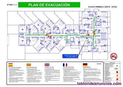 Proyectista Autonomo