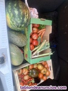 Productos huerta
