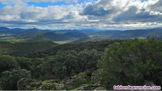 Ampliar fotos Finca de caza y recreo Finca de caza y recreo