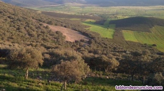 Ampliar fotos Finca de explotación agrícola Finca de explotación agrícola