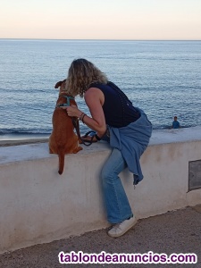 Clases particulares de franc�s.