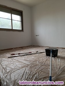 Budget-friendly house painter mallorca