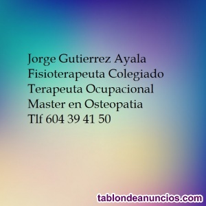 Fisioterapeuta y Terapeuta Ocupacional Colegiado