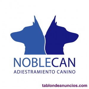 Adiestramiento canino en Boadilla del Monte
