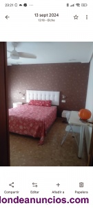 Se alquila vivienda para estudiantes o funcionarios 