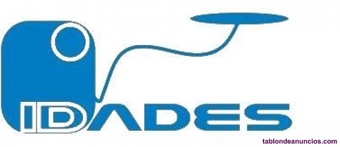 Auxiliar de axuda no fogar