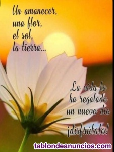 Busco trabajo por horas o externa 