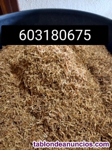 Tabaco de liar y entubar  mejor calidad