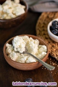 Regalo N�dulos de K�fir de leche