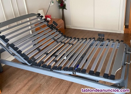 Vendo cama articulada con colch�n anti-escaras.