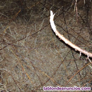 Mantenimiento de comunidades