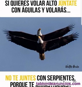 Se alkilan garaje y trasteros