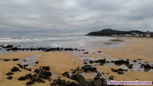 Se necesita peluquer@